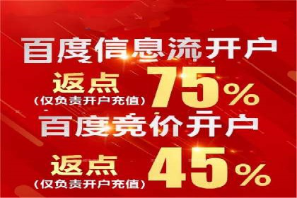 提升网站流量：SEO在百度推广的实战案例